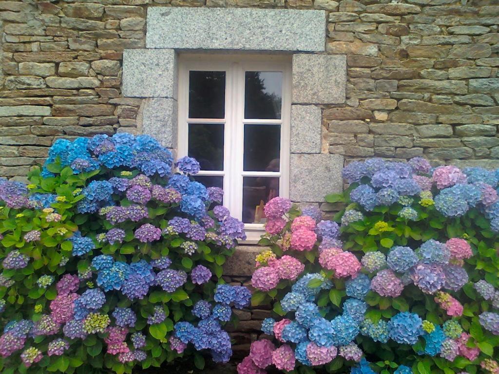 Bed and Breakfast Le Petit Kerangoi Pont-Aven Exteriér fotografie